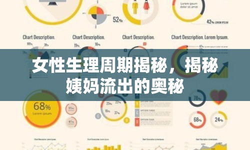 女性生理周期揭秘，揭秘姨媽流出的奧秘