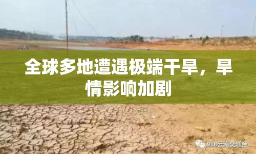 全球多地遭遇極端干旱，旱情影響加劇