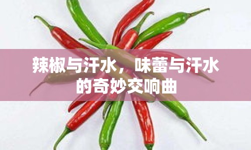 辣椒與汗水，味蕾與汗水的奇妙交響曲