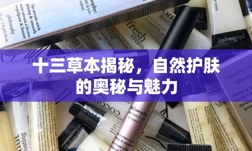 十三草本揭秘，自然護膚的奧秘與魅力