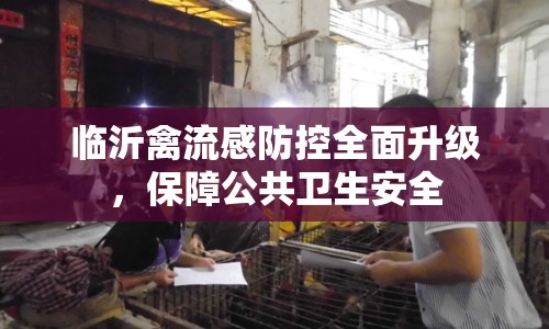臨沂禽流感防控全面升級，保障公共衛(wèi)生安全