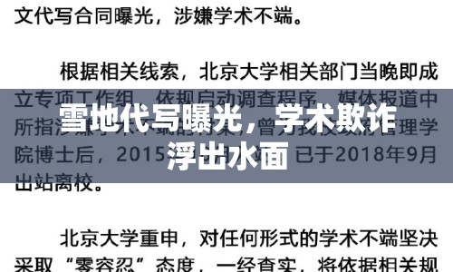 雪地代寫曝光，學術欺詐浮出水面