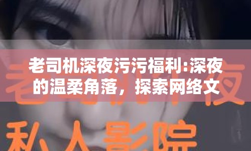 老司機(jī)深夜污污福利:深夜的溫柔角落，探索網(wǎng)絡(luò)文化中的趣味與邊界