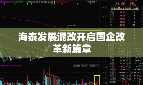 海泰發(fā)展混改開(kāi)啟國(guó)企改革新篇章