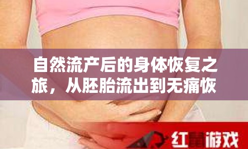 自然流產(chǎn)后的身體恢復(fù)之旅，從胚胎流出到無痛恢復(fù)