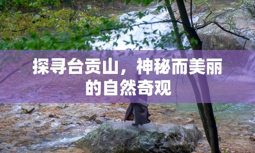 探尋臺貢山，神秘而美麗的自然奇觀