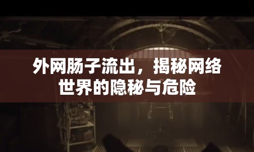 外網(wǎng)腸子流出，揭秘網(wǎng)絡(luò)世界的隱秘與危險
