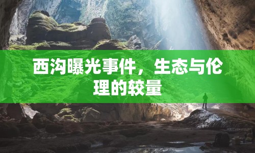 西溝曝光事件，生態(tài)與倫理的較量