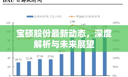 寶碩股份最新動態(tài)，深度解析與未來展望