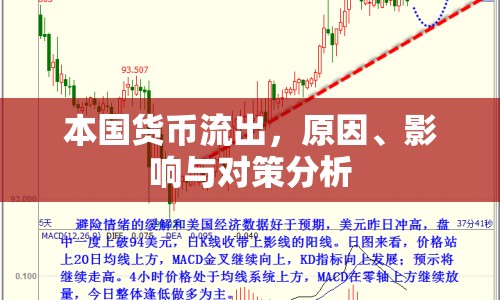 本國貨幣流出，原因、影響與對策分析