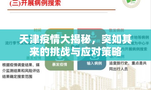 天津疫情大揭秘，突如其來的挑戰(zhàn)與應對策略