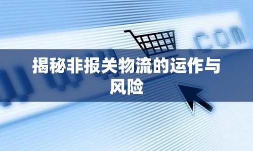 揭秘非報(bào)關(guān)物流的運(yùn)作與風(fēng)險(xiǎn)