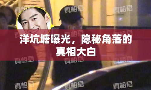 洋坑塘曝光，隱秘角落的真相大白