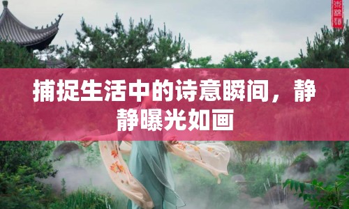 捕捉生活中的詩意瞬間，靜靜曝光如畫
