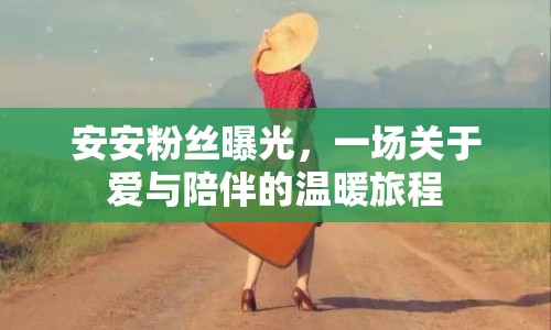 安安粉絲曝光，一場關于愛與陪伴的溫暖旅程