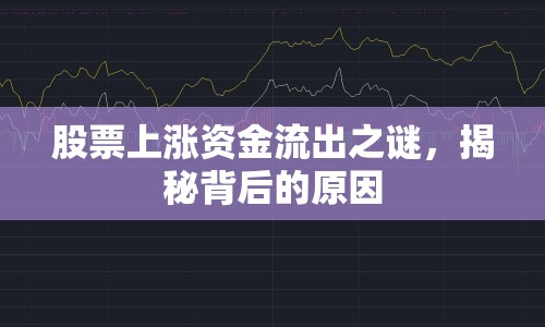 股票上漲資金流出之謎，揭秘背后的原因