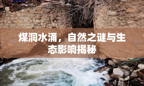 煤洞水涌，自然之謎與生態(tài)影響揭秘