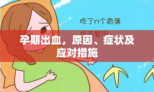 孕期出血，原因、癥狀及應(yīng)對措施