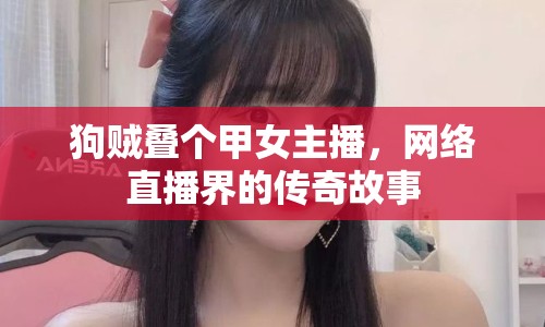 狗賊疊個甲女主播，網(wǎng)絡直播界的傳奇故事