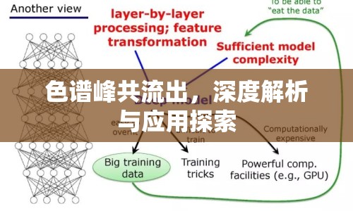 色譜峰共流出，深度解析與應用探索