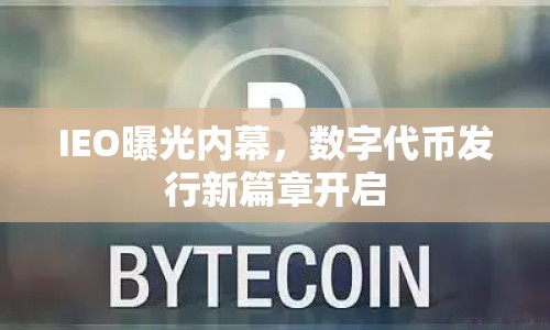 IEO曝光內(nèi)幕，數(shù)字代幣發(fā)行新篇章開啟