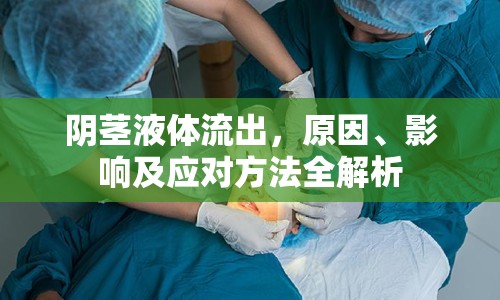 陰莖液體流出，原因、影響及應(yīng)對(duì)方法全解析