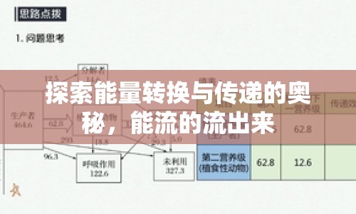 探索能量轉(zhuǎn)換與傳遞的奧秘，能流的流出來(lái)