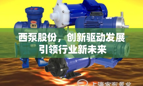 西泵股份，創(chuàng)新驅(qū)動發(fā)展 引領(lǐng)行業(yè)新未來