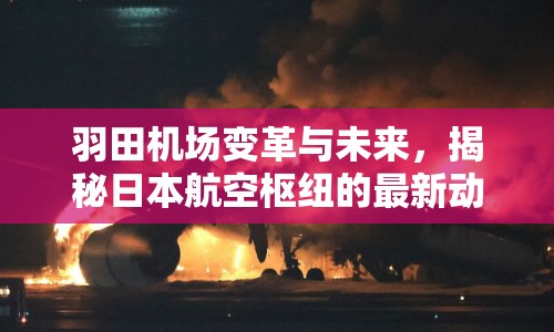 羽田機場變革與未來，揭秘日本航空樞紐的最新動態(tài)