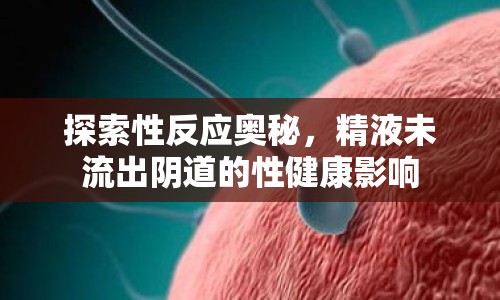 探索性反應(yīng)奧秘，精液未流出陰道的性健康影響