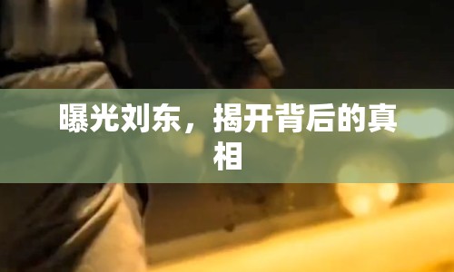 曝光劉東，揭開背后的真相