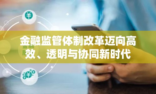 金融監(jiān)管體制改革邁向高效、透明與協(xié)同新時代