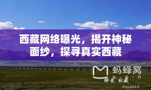 西藏網(wǎng)絡(luò)曝光，揭開(kāi)神秘面紗，探尋真實(shí)西藏