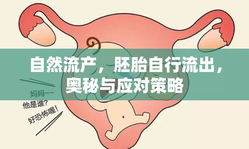 自然流產(chǎn)，胚胎自行流出，奧秘與應(yīng)對策略