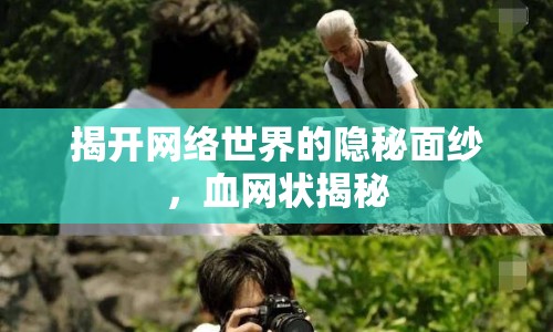 揭開網(wǎng)絡(luò)世界的隱秘面紗，血網(wǎng)狀揭秘