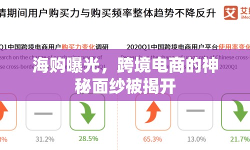 海購曝光，跨境電商的神秘面紗被揭開