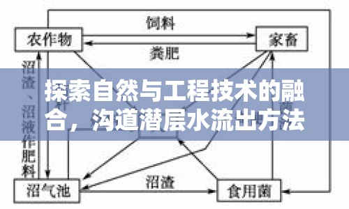 探索自然與工程技術(shù)的融合，溝道潛層水流出方法