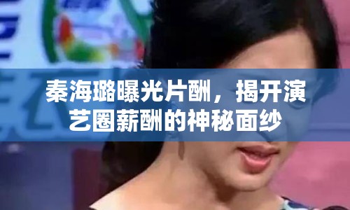 秦海璐曝光片酬，揭開演藝圈薪酬的神秘面紗