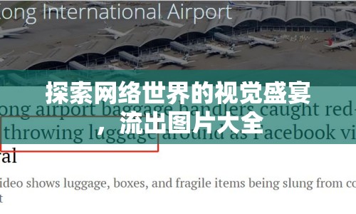 探索網(wǎng)絡(luò)世界的視覺盛宴，流出圖片大全