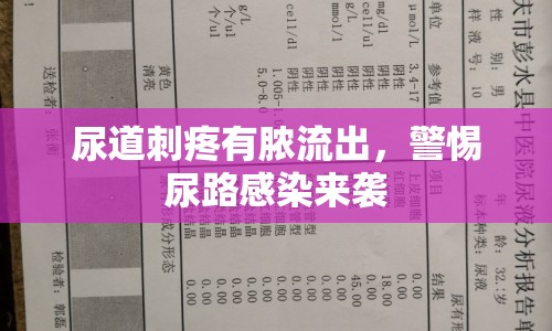 尿道刺疼有膿流出，警惕尿路感染來襲