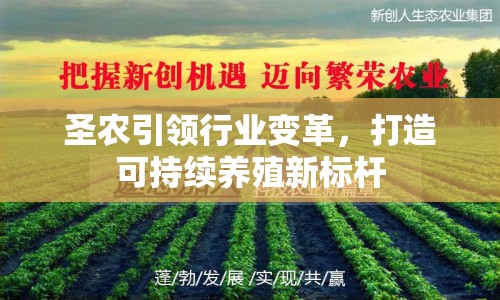 圣農(nóng)引領(lǐng)行業(yè)變革，打造可持續(xù)養(yǎng)殖新標(biāo)桿