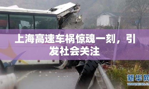 上海高速車禍驚魂一刻，引發(fā)社會關注