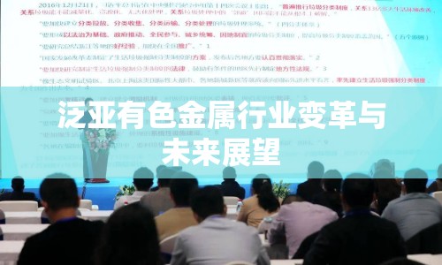 泛亞有色金屬行業(yè)變革與未來展望