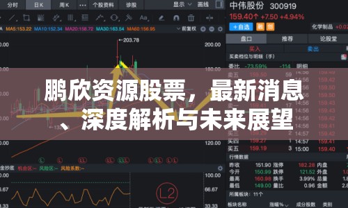 鵬欣資源股票，最新消息、深度解析與未來展望