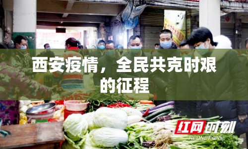 西安疫情，全民共克時艱的征程