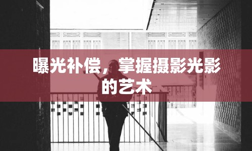曝光補(bǔ)償，掌握攝影光影的藝術(shù)