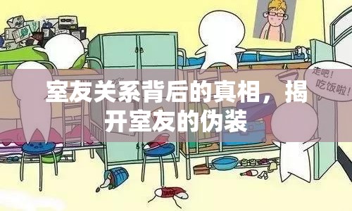 室友關(guān)系背后的真相，揭開室友的偽裝