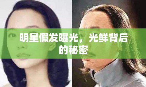 明星假發(fā)曝光，光鮮背后的秘密