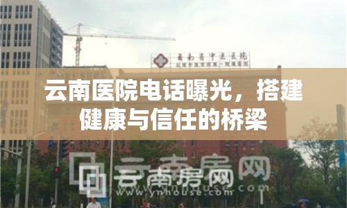 云南醫(yī)院電話(huà)曝光，搭建健康與信任的橋梁