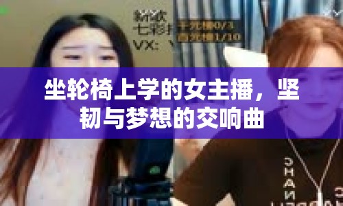 坐輪椅上學(xué)的女主播，堅韌與夢想的交響曲